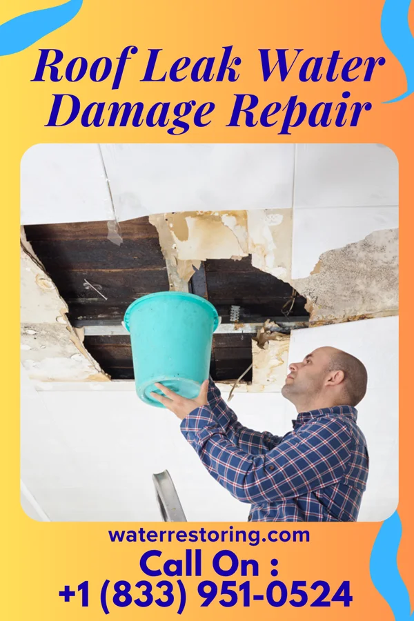 Roof Leak Water Damage Repair in Bystrom, CA